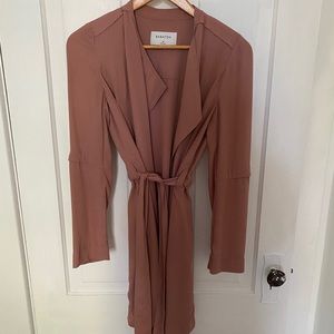 Babaton Aritzia jacket/trench